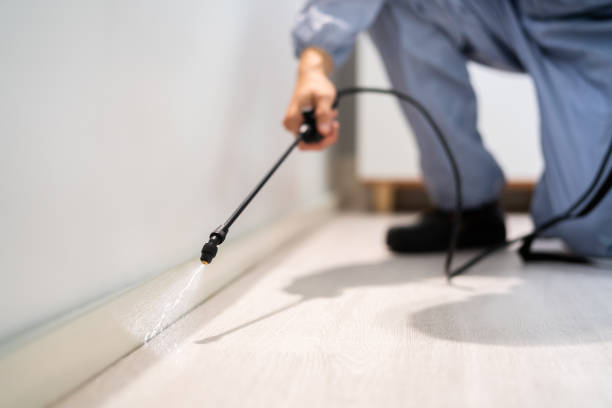 Best Pest Control for Homes  in Newk, AR
