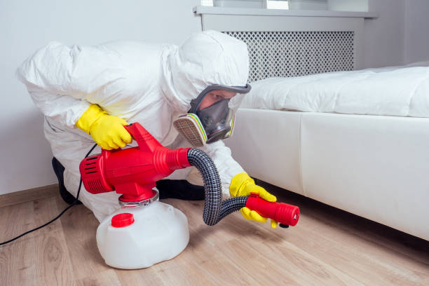 Best Flea Control Services  in Newk, AR