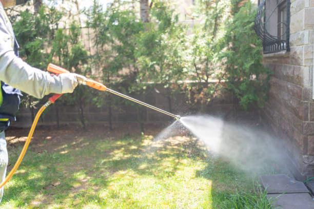 Best Pest Removal Services  in Newk, AR