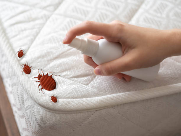 Reliable Newark, AR Pest Control Solutions