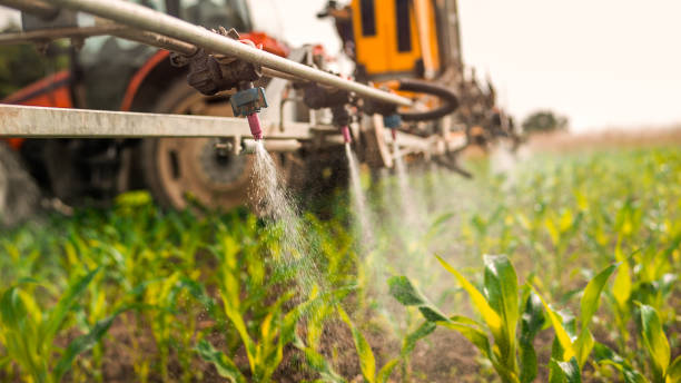 Best Best Pest Control Companies  in Newk, AR