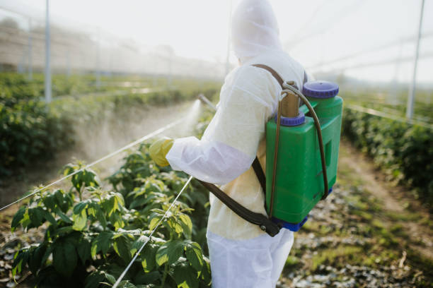 Best Pest Inspection Near Me  in Newk, AR